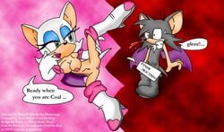 auntymoira purity rouge_the_bat sonic_(series) tagme