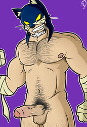 balls bara beard bodyhair dc foreskin makidotsukashi male male_only mask muscles muscular muscular_male pecs penis superhero wildcat_(dc)