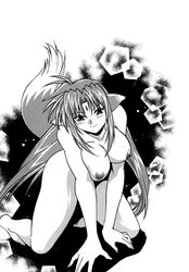 1girls animal_ears arf big_breasts blush breasts comic completely_nude completely_nude_female dog_tail female forehead_jewel long_hair lyrical_nanoha mahou_shoujo_lyrical_nanoha mahou_shoujo_lyrical_nanoha_a's manabe_jouji manga nude nude_female nudity on_four_legs pointy_ears smile tail wet wolf_girl wolf_humanoid