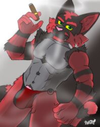 anthro bara bulge cigar clothing domestic_cat felid feline felis hokshi incineroar looking_at_viewer male male_only mammal nintendo pantherine pokémon_(species) pokemon solo speedo swimwear tiger video_games