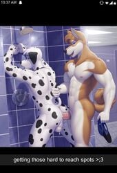 anthro canine gay male_only sigma_x