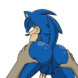 anon balls blue_body blue_fur blue_hair duo eulipotyphlan fur genitals hair hand_on_butt hedgehog humanoid male mammal penis pinup pose solo sonic_(series) sonic_the_hedgehog sonic_the_hedgehog_(series) spanky15 spankynutz69