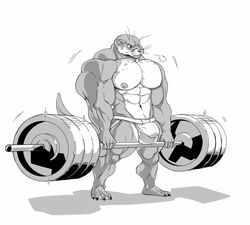 2018 4_toes 5_fingers absurd_dumbbell anthro balls big_balls big_bulge big_penis bulge clothed clothing dumbbell feet fingers genitals hi_res holding_object huge_balls huge_bulge huge_cock huge_muscle lifting lutrine male mammal monochrome muscular mustelid nipples otter penis plantigrade simple_background solo stagor55 standing toes underwear underwear_only weights white_background