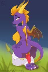 absurd_res activision airfly-pony digital_media_(artwork) female furry hi_res invalid_tag spyro spyro_the_dragon video_games