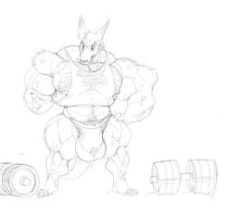 2017 3_toes 5_fingers anthro balls big_balls big_bulge big_muscles big_pecs big_penis bodily_fluids body_hair bulge chest_hair clothing cum dumbbell feet fingers frown genital_fluids genitals hand_on_hip huge_balls huge_bulge huge_cock huge_muscles hyper hyper_balls hyper_bulge hyper_genitalia hyper_muscles hyper_penis kangaroo looking_at_viewer macropod male mammal marsupial monochrome muscular nipples pecs penis sketch solo stagor55 standing sweat sweatshirt toes underwear weights