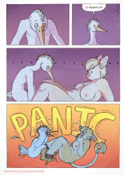 5_fingers after_sex anthro anthro_on_anthro avian bed bedroom bird bovid bovine breasts butt cattle cattle_egret clover_(kantachibli) comic dialogue duo ellipsis english_text feathers female fingers fur furniture heron hi_res hooves humanoid_hands interspecies kantachibli lying lying_on_bed male male/female mammal nipples nude nude_anthro nude_female nude_male on_back on_bed page_number panicking pelecaniform phillip_(kantachibli) speech_bubble tail tan_body tan_fur text tongue url white_body white_feathers