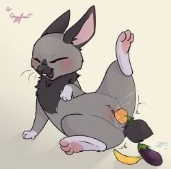 anatomically_inaccurate anatomically_inaccurate_pawpads bodily_fluids clitoral_hood clitorus cozyfruit ejaculation female feral food food_fetish food_in_pussy food_insertion food_play fruit fur genital_fluids genitals grey_body hi_res humanoid_genitalia humanoid_genitalia_on_feral humanoid_vulva humanoid_vulva_on_feral improvised_sex_toy lagomorph leporid looking_pleasured mammal mya_(cozyfruit) paws penetration plant rabbit simple_background solo vaginal vaginal_fluids vaginal_penetration vaginal_squirting vegetable vulva