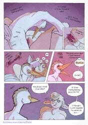 5_fingers anthro anthro_on_anthro anthro_penetrated anthro_penetrating anthro_penetrating_anthro avian bed bedroom bird blush bovid bovine breasts butt cattle cattle_egret clothing clover_(kantachibli) cock_warmer comic dialogue duo english_text feathers female female_penetrated fingers fur furniture genitals heron hi_res hooves humanoid_hands interspecies kantachibli lying lying_on_bed male male/female male_penetrating male_penetrating_female mammal navel nipples nude nude_anthro nude_female nude_male on_back on_bed pain pelecaniform penetration penile penile_penetration penis penis_clothing penis_in_vagina phillip_(kantachibli) sex speech_bubble tail tan_body tan_fur text tongue tongue_out url vaginal vaginal_penetration vulva white_body white_feathers