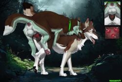 animal_genitalia animal_penis animal_vulva anus balls bodily_fluids brown_body brown_fur canid canine canine_genitalia canine_penis canine_vulva canis collar cum cum_in_vagina cum_inside domestic_dog duo erection female female_penetrated feral feral_on_feral feral_penetrated feral_penetrating feral_penetrating_feral from_behind_position fur genital_fluids genitals german_shepherd herding_dog hi_res impregnation impregnation_request intraspecies knot knot_root knotted_penis knotting larger_female larger_penetrated male male/female male_penetrating male_penetrating_female mammal multiple_ova ovum pastoral_dog penetration penile penile_penetration penis penis_in_vagina perching_position saliva sex sheath sheppermint size_difference smaller_male sperm_cell tongue tongue_out truegrave9 vaginal vaginal_knotting vaginal_penetration vulva wolf