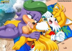1boy 1girls anthro ass balls barefoot bbmbbf beach beach_towel blowjob blush breasts cum cum_in_mouth cum_inside feet female gloves male male/female mobian_(species) mobius_unleashed nude open_mouth oral oral_sex palcomix penis sea sealia_seal sega sex sonic_(series) sonic_the_hedgehog_(series) tails_the_fox tongue towel
