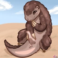 1:1 anus blush blush_lines bodily_fluids brown_body claws feral genital_fluids genitals hi_res looking_pleasured male mammal masturbation pangolin pankatares penis puffy_anus sand scales signature sitting sky small_ears solo tail unusual_anatomy unusual_genitalia unusual_penis