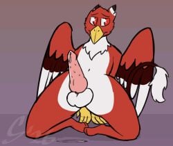 animated anthro avian blush bodily_fluids dripping embarrassed genital_fluids genitals gryphon hi_res knot looking_away male mythological_avian mythological_creature mythology penile_spines penis precum precum_drip solo sombird throbbing throbbing_penis