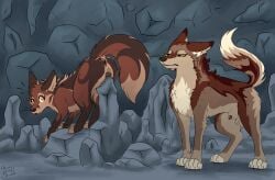 animal_genitalia animal_penis animal_vulva anus balls black_nose black_vulva brown_balls brown_body brown_fur brown_tail canid canine canine_genitalia canine_penis canine_vulva canis caught_in_the_act caught_masturbating duo erection female feral fox fur genitals hi_res improvised_sex_toy male male/female mammal masturbation muskydusky orange_eyes penis penis_tip sheath tail vaginal vaginal_masturbation vulva whiskers wolf