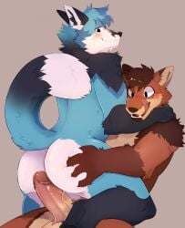 anthro blush butt butt_grab canid canine duo erection fox genitals grinding hand_on_butt hi_res male male/male mammal nanabi_ashiro penis rio_(cerulean) tongue tongue_out zetameow