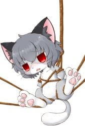 animal_ear_fluff anus blush bondage bondage bound cookie_(touhou) domestic_cat felid feline felis female feral gingitsune_(artist) grey_body hi_res mammal nazrin nyon_(cookie) pawpads red_eyes rope rope_bondage simple_background solo touhou video_games whiskers white_background