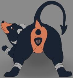 animal_genitalia animal_vulva anus canine_genitalia canine_vulva female feral generation_2_pokemon genitals houndoom looking_at_viewer looking_back nintendo pokemon pokemon_(species) presenting presenting_anus presenting_vulva raised_tail solo tail tiny_terrible vulva