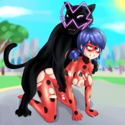 2021 absurd_res animan_(miraculous_ladybug) big_breasts blue_eyes blue_hair blush breasts clothing felid female female_penetrated feral feral_penetrating feral_penetrating_human hair hi_res human human_on_feral human_penetrated interspecies ladybug_(character) male male/female male_penetrating male_penetrating_female mammal marinette_cheng marinette_dupain-cheng miraculous_ladybug nipples penetration redbug222 sex torn_clothing zoophilia