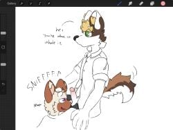 4:3 5_fingers anthro ball_sniffing balls biped black_clothing black_underwear blonde_hair brown_body brown_fur bulge bulge_in_face burritortilla canid canine canis clothed clothing dialogue domestic_cat domestic_dog duo english_text felid feline felis fingers fur genitals glans green_eyes hair half-closed_eyes hi_res holding_head humanoid_genitalia humanoid_penis male male/male male_anthro mammal milo_kim moan narrowed_eyes open_mouth penis penis_sniffing purple_eyes richard_lim shirt sitting sniffing sound_effects tail tail_motion tailwag tan_body tan_fur text topwear underwear white_clothing white_shirt white_topwear