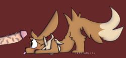 absurd_res blush eevee female feral genitals hi_res i69himdaily nintendo penis pokémon_(species) pokemon video_games