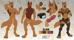 alain_(summontheelectorcounts) animal_genitalia animal_penis anthro balls bottomwear bulge canid canine canine_penis canis clothing digitigrade domestic_dog ear_piercing ear_ring erection genitals german_shepherd herding_dog hi_res jewelry knot male mammal mesh_top model_sheet necklace nipple_piercing nipples pastoral_dog penis piercing sheath shorts vallhund