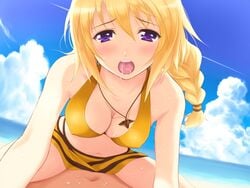 breasts charlotte_dunois female gold_hair infinite_stratos purple_eyes sex