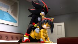 3d 3d_(artwork) black_body black_hair doggy_style domestic_cat eyelashes hair hedgehog honey_the_cat lolko orange_eyes red_eyes red_markings sex shadow_the_hedgehog smile sonic_(series) tan_body tuft twintails yellow_body yellow_hair