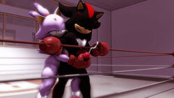 1boy 1girls 3d 3d_(artwork) anthro balls black_balls black_body black_fur black_hair black_penis blaze_the_cat boxing boxing_gloves boxing_ring breasts cat closed_eyes cum cumshot domestic_cat duo female female/male footwear foreskin gloved_handjob gloves hair half-closed_eyes handjob hedgehog male male/female mammal mixed_boxing naked naked_footwear naked_gloves naked_with_shoes_on nipples nude one_eye_closed open_mouth penis pink_foreskin pink_nipples purple_body purple_fur purple_hair reach_around red_body red_boxing_gloves red_gloves sega shadow_the_hedgehog sonic_(series) sonic_the_hedgehog_(series) sonicthebitch tail tan_body teeth testicles thick thick_thighs tied_hair tuft white_body wide_hips yellow_eyes