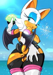 rouge the bat from sega by qualonhive