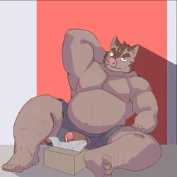 2021 anthro brown_body brown_fur clothing fur genitals hermann_(knights_college) kemono knights_college male male_only mammal moobs nipples overweight overweight_male penis sitting solo suid suina sus_(pig) taigayukyu underwear video_games visual_novel wild_boar