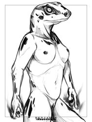 3:4 absurd_res amphibian anthro band1tnsfw benjamin_ratterman black_and_white breasts female frog genitals hi_res looking_at_viewer magic magic_user monochrome non-mammal_breasts poison_dart_frog slim small_nipples smoke solo