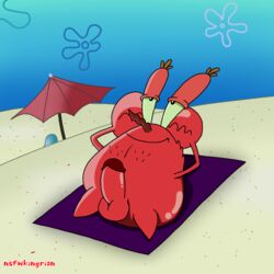 arthropod balls beach claws crab crustacean decapoda genitals malacostracan male marine mr_krabs nickelodeon nsfwkingrian nude penis sand seaside shadow sky smile smooth_skin solo spongebob_squarepants towel umbrella