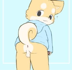 1boy ? anus ass balls black_eyes blue_background blue_hoodie brown_pawpads canine cub curly_tail furry male_only myrotiggy shiba_inu tiggy_(myrotiggy)