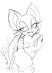 rouge the bat from sega by omegasunburst