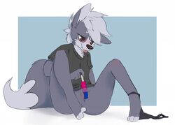 2018 anthro barley_(elijah-draws) blep blue_background blush border bottomless canid canine canis cheek_tuft clothed clothing conditional_dnp domestic_dog elijah-draws facial_tuft female food fur genitals grey_body grey_fur mammal masturbation panties panties_around_one_leg popsicle popsicle_in_pussy popsicle_insertion pussy shirt simple_background sitting solo t-shirt tongue tongue_out topwear tuft underwear underwear_around_one_leg vaginal_masturbation vaginal_penetration white_border