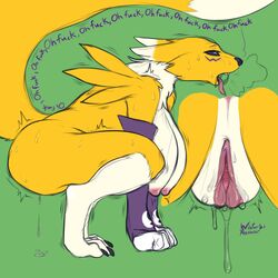 digimon (species) from digimon by winteranswer