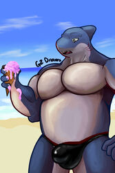 absurd_res anthro beach biceps bulge clothing dessert fin fish food gills gz_draws hi_res ice_cream male male_only male_solo marine muscular pecs seaside shark shark_fin sky solo thong underwear watermark