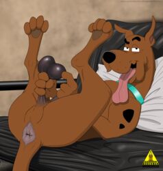 1boy 2021 absurdres anus armchair ball_pull black_nose brown_body brown_fur canine canine_anus dangerdoberman detailed_background dog_collar dog_ears dog_tail domestic_dog feral great_dane hanna-barbera highres holding holding_testicles inviting_to_sex looking_at_viewer male male_only open_mouth paws pillow presenting presenting_anus presenting_ass puckered_anus scooby-doo scooby-doo_(character) solo solo_feral swollen_anus testicles tongue tongue_out