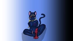 16:9 anthro artist_request bishoujo_senshi_sailor_moon dildo felid feline female foot_fetish foot_play footjob hi_res hindpaw humanoid luna_(sailor_moon) mammal medium_breasts paws sex solo widescreen