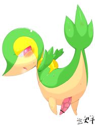 3:4 anus censored feral genitals hi_res male mizuchi nintendo penis pokemon pokemon_(species) snivy solo video_games