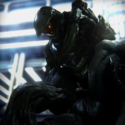 1boy 1boy1girl 1girls 3d alien alien/human alien_girl armor female female_sangheili halo_(series) helmet human human_penetrating humanoid interspecies male male/female male_human male_human/female_alien male_human/female_humanoid male_spartan_(halo) master_chief missionary_position sangheili spartan_ii_(halo) trenshyva