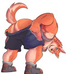 anthro ass blue_eyes bottomwear canid canine canis clothed clothing footwear fur furry grey_clothing grey_shirt grey_topwear hati-skm hi_res male male_only mammal mooning open_mouth open_smile orange_body orange_fur partially_clothed perineum shirt shoes shorts simple_background smile solo solo_male tank_top teeth topwear white_background wolf