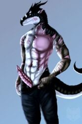 absurd_res animal_humanoid anthro digital_drawing_(artwork) digital_media_(artwork) digital_painting_(artwork) dragon dragon_humanoid erection genitals hi_res humanoid male mythology own_character penis presenting scalie shaded soft_shading solo suggestive_pose western_dragon