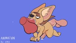 anal animated balls big_balls big_penis cum disembodied_penis fennec finnick furry gay oral penis ses_vanbrubles sex sound tagme video yaoi zootopia