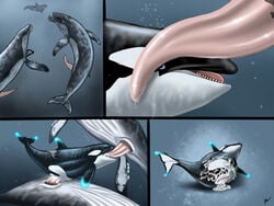 animal_genitalia animal_penis baleen_whale belly black_body blue_eyes bodily_fluids bubble cetacean cetacean_penis comic cum cum_in_mouth cum_in_pussy cum_inside cum_on_stomach dorsal_fin fellatio female feral feral_on_feral fin genital_fluids genitals glowing glowing_fin grey_body group humpback_whale inflation kayla_orca lying male male/female mammal marine oceanic_dolphin on_side oral orca penetration penile penis pussy sex size_difference swimming tail_fin tapering_penis toothed_whale underwater underwater_sex vaginal_penetration water whale white_belly