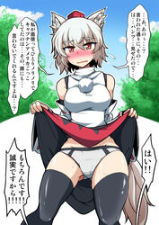 momiji inubashiri from touhou by midori niku