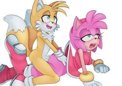 amy rose from sonic (series) by saltorii