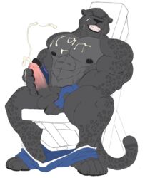 2018 4_toes 5_fingers anthro balls big_muscles black_body black_claws black_fur black_nipples black_nose black_pawpads bodily_fluids bottomwear champagnecub claws closed_eyes clothed clothing cum cum_on_chest cum_on_self cumshot ejaculation erection feet felid fingerless_gloves fingers fur gage_the_panther genital_fluids genitals gloves handwear hi_res holding_penis humanoid_genitalia humanoid_hands humanoid_penis male male_only male_solo mammal masturbation muscular muscular_anthro muscular_male nipples pantherine partially_clothed pawpads penis pink_penis plantigrade shorts shorts_down sitting snarling solo spots spotted_body spotted_fur toes