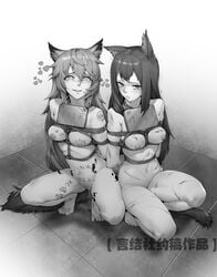 2girls animal_ears arknights arms_behind_back black_and_white body_writing bondage breasts chen_zi chinese_text crying crying_with_eyes_open feet female femsub injury lappland_(arknights) multiple_girls multiple_subs nipples nude public public_humiliation public_use rope rope_bondage sign smile tail tally_marks texas_(arknights) text tied_up trembling