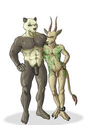 2021 abs absurd_res ankle_cuffs antelope anthro balls beastars bovid duo felid ffog flaccid foreskin gazelle genitals giant_panda gouhin hi_res horn humanoid_genitalia humanoid_penis hybrid leopard male male_only mammal melon_(beastars) muscular muscular_anthro muscular_male navel nude pantherine penis penis_size_difference pubes scar shackles simple_background standing tattoo uncut ursid white_background