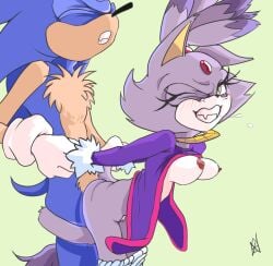blaze the cat from sega by nahadon